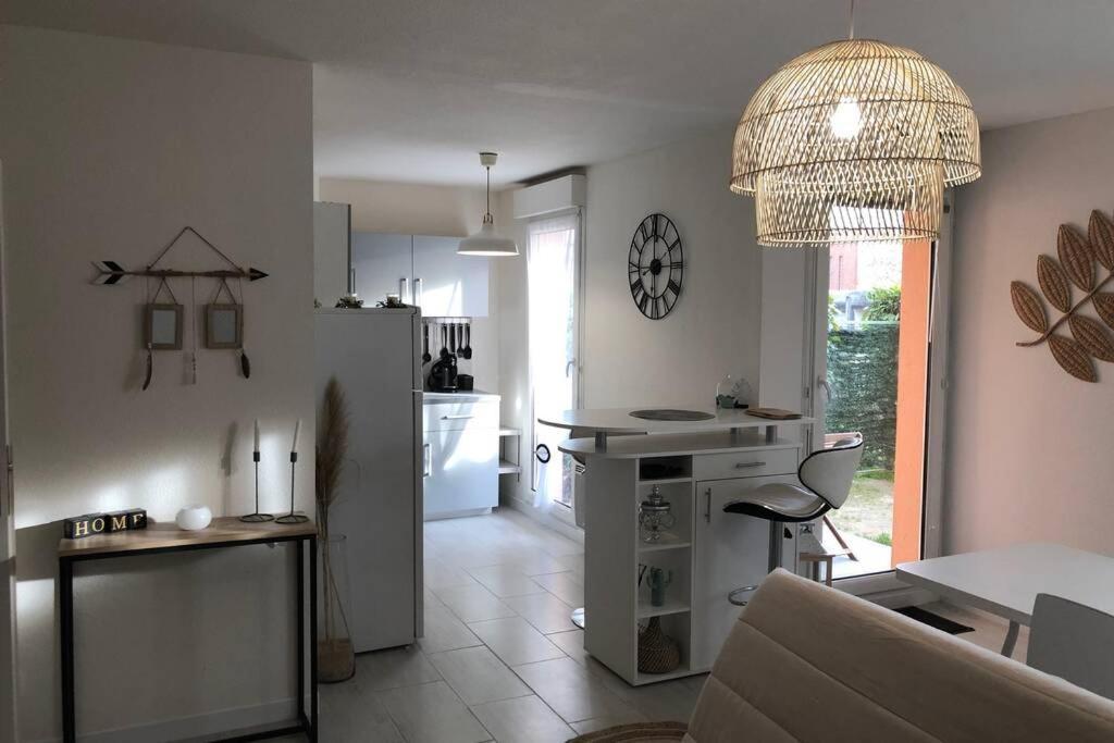 Appartement Cosy Avec Jardin A Blagnac. 外观 照片