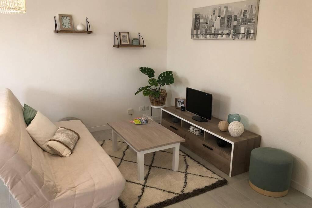 Appartement Cosy Avec Jardin A Blagnac. 外观 照片